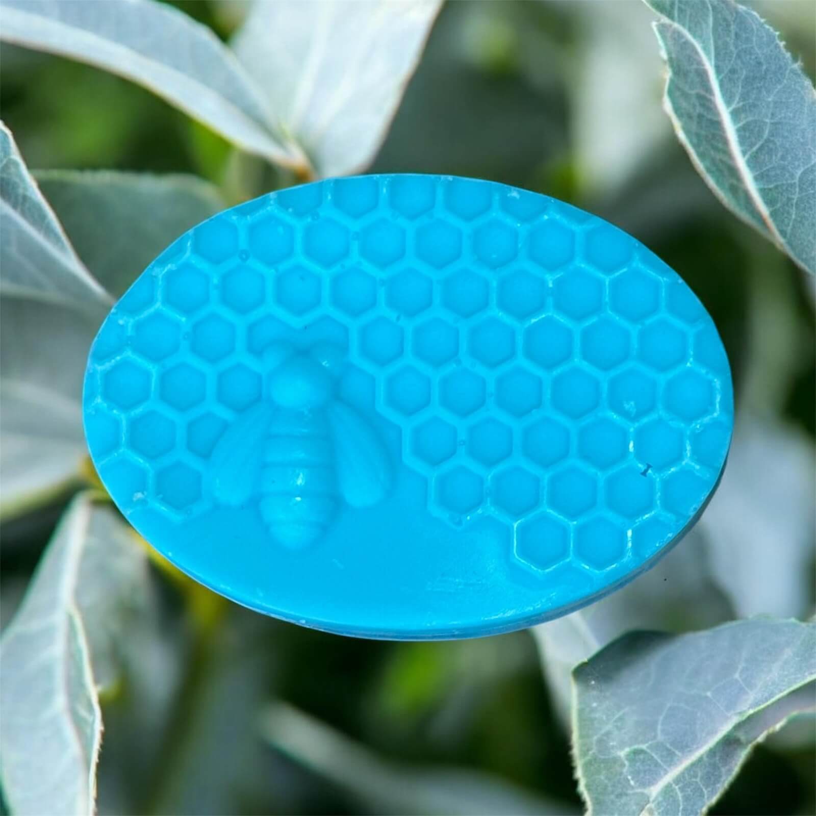 Eucalyptus Soap